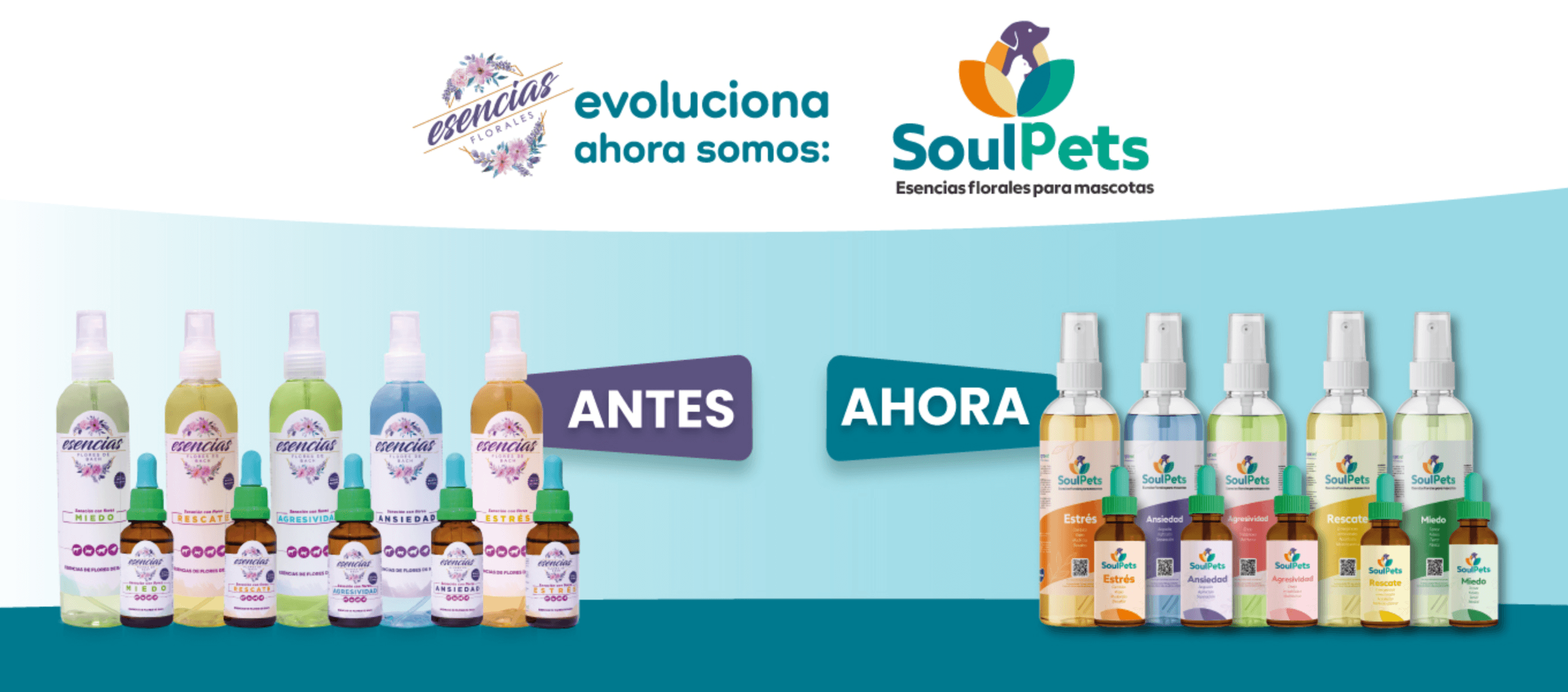Antes esencias, ahora SoulPets — evolución de marca