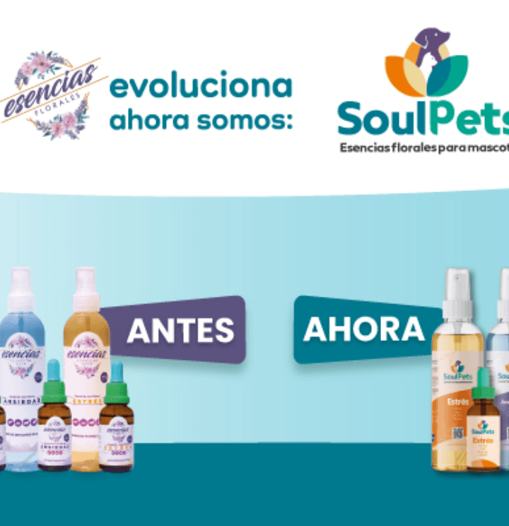 Antes esencias, ahora SoulPets — evolución de marca