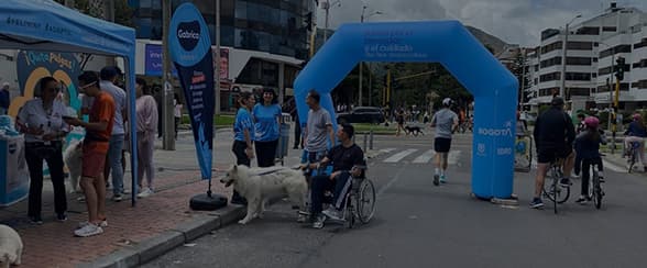 La palatabilidad impulsa el auge del alimento para mascotas en Colombia
