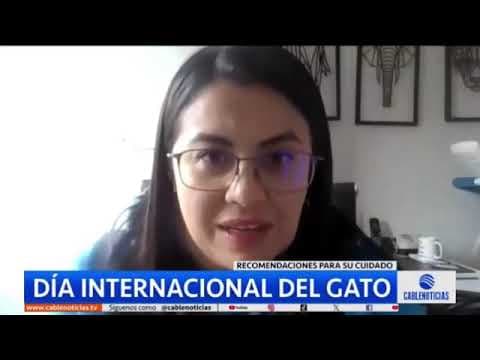 Día Internacional del Gato
