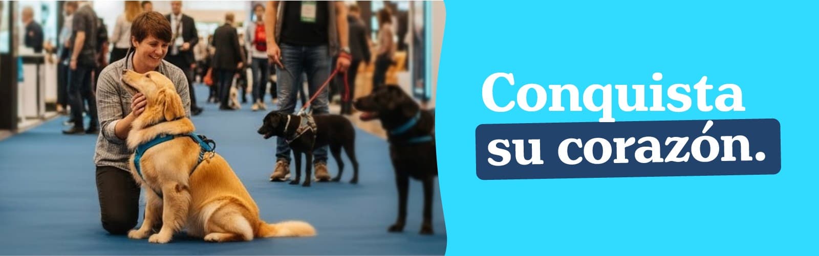 Del stand al corazón: cómo hacer que tu marca PET destaque en ferias y eventos
