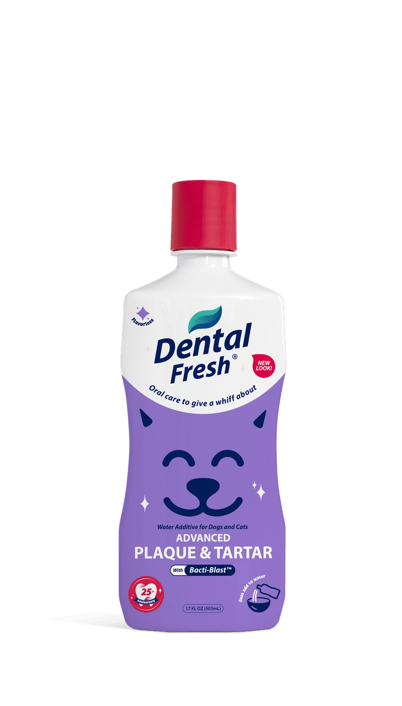 Dental fresh plaque y tartar 17 oz