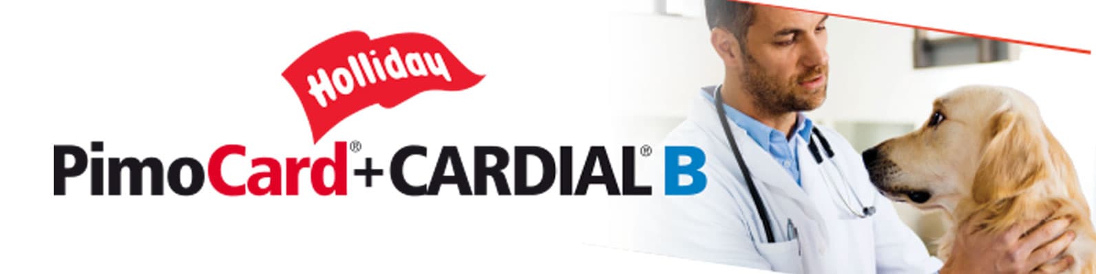 Imagen de Enfermedad mixomatosa de la válvula mitral: Tratamiento con Pimobendan