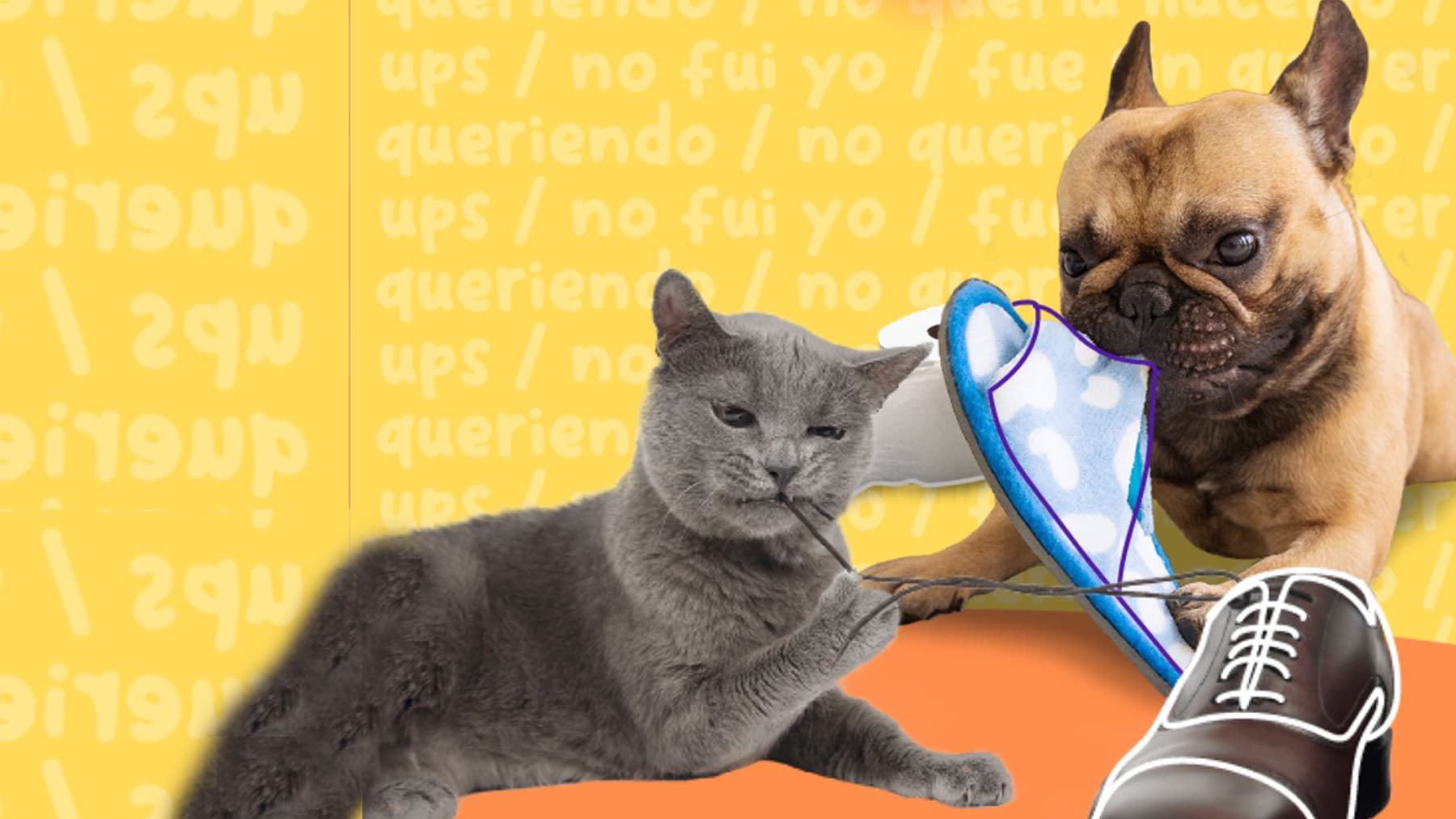 Cómo evitar que mi cachorro muerda todo