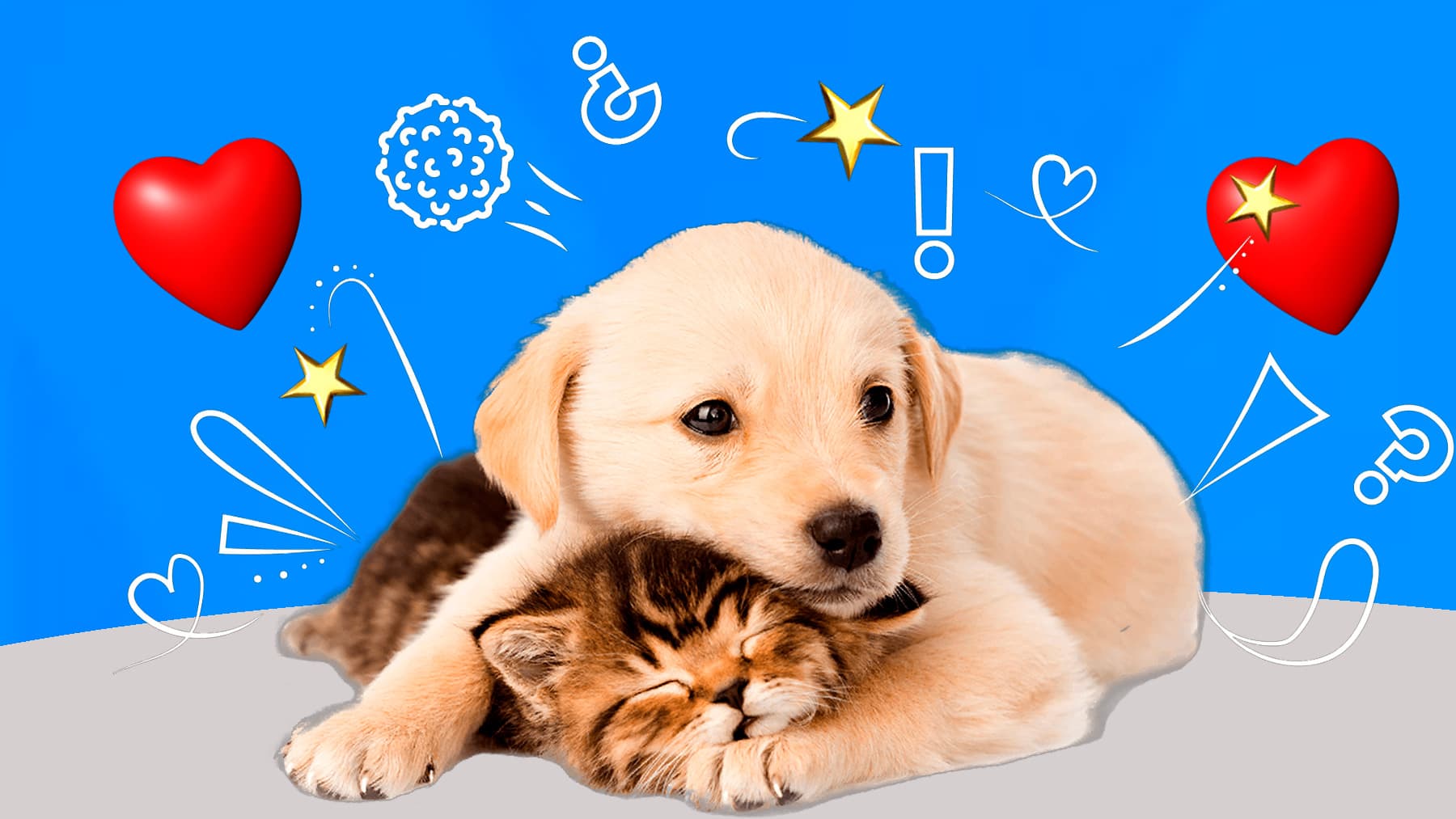 GUÍA de cuidados del verdadero amor