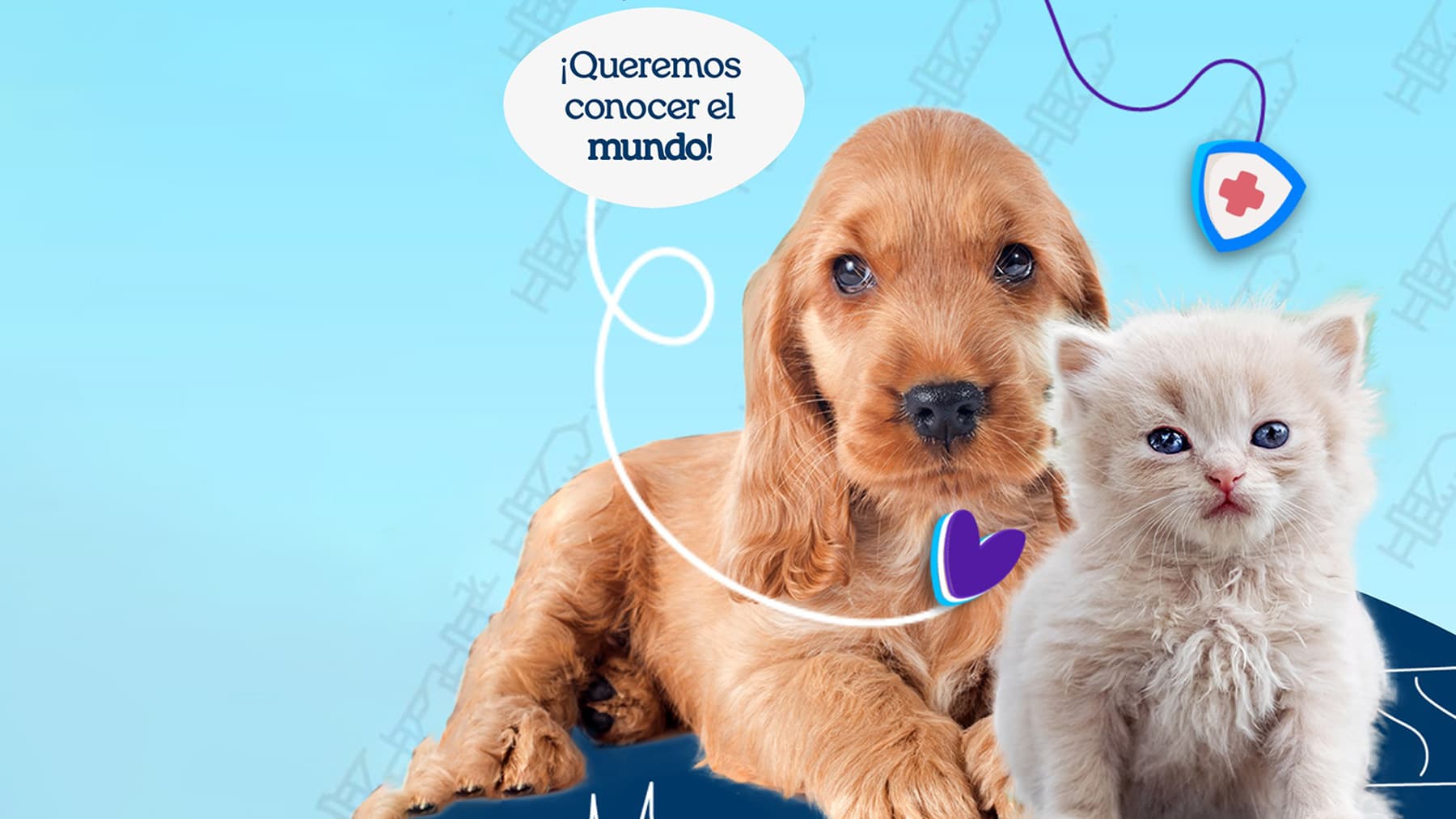 GUÍA de esterilización en cachorros