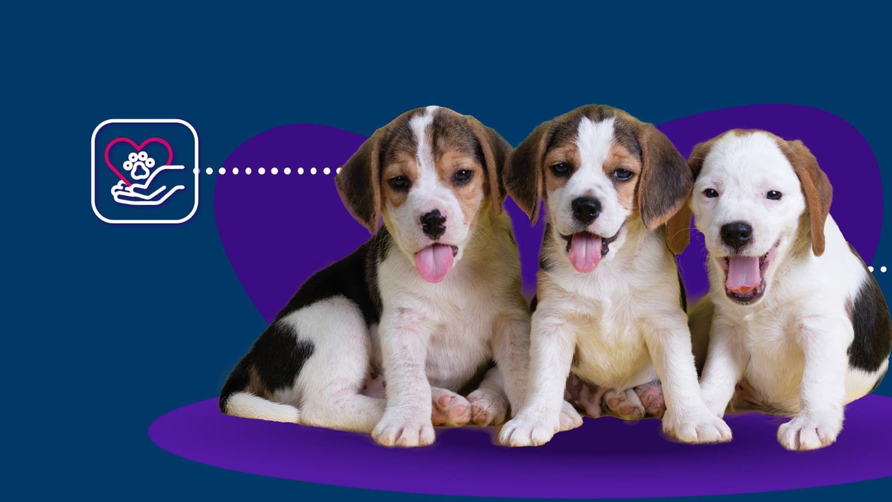 Guía Parvovirosis canina