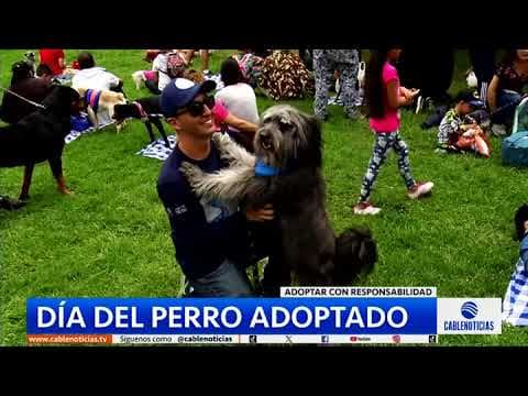Día del perro adoptado