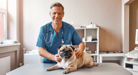 Veterinario con un perro en consulta