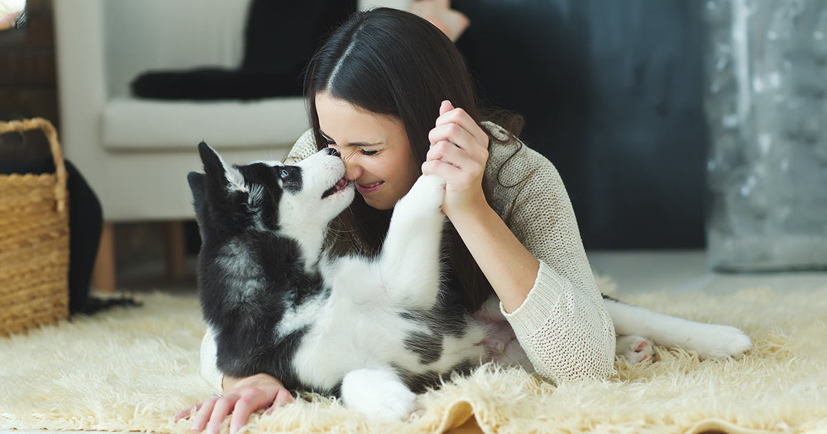 ¿Sabías que los perros pueden trasnmitirte parásitos a través de sus besos? Conoce la importancia de la desparasitación interna en mascotas con Total Full.